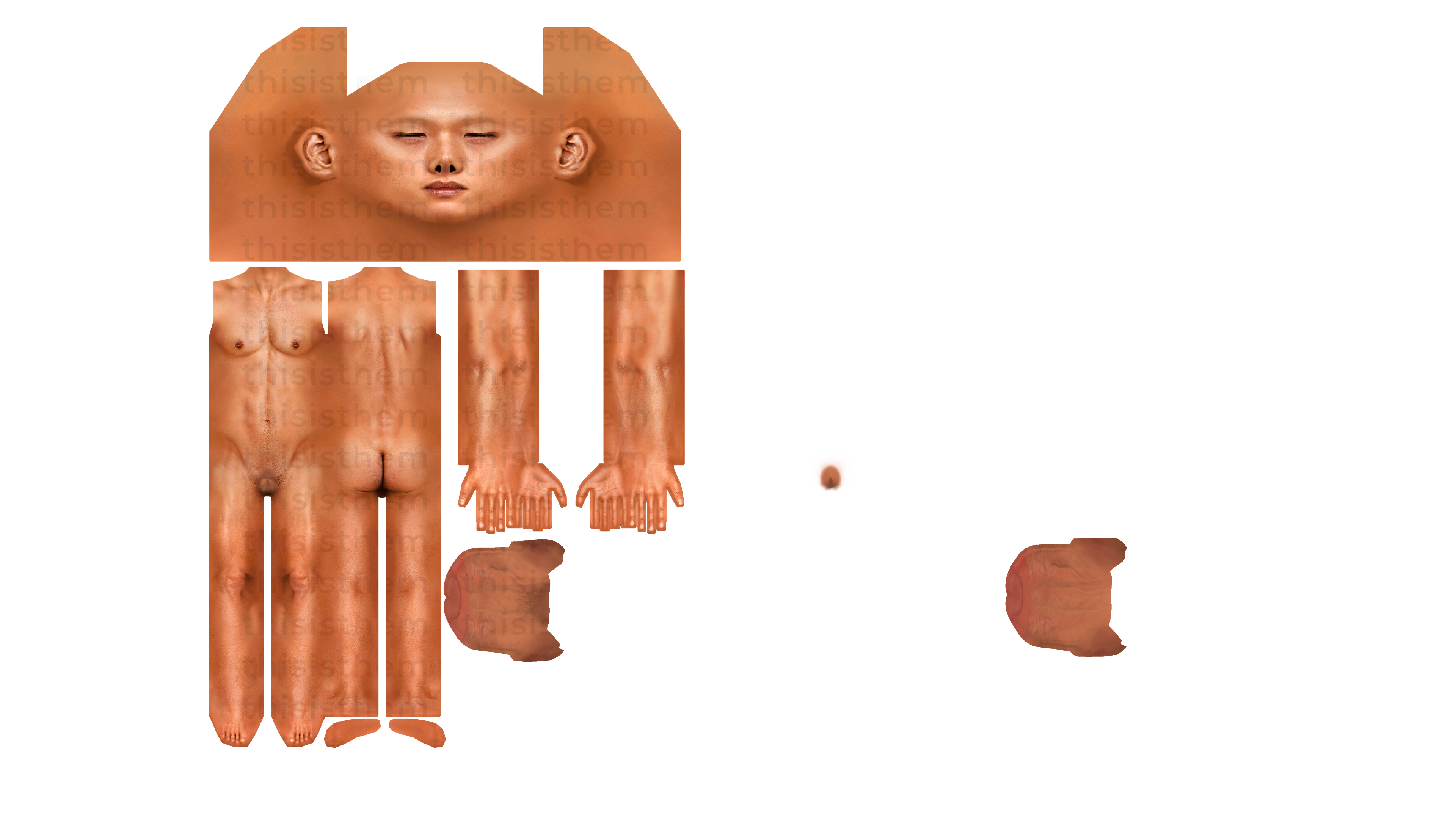 Skin Mask Example: Full Skin vs. Masked